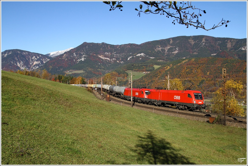 ber die Semmering Nordrampe ziehen 1016 013 + 1016 028 den Kesselzug 91023 von Stadlau nach Graz. 
Apfelwiese Eichberg 29.10.2010