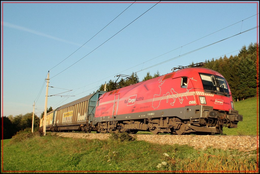 berraschender Weise kahm noch 1116 003 seines Namens  Rail Cargo Austria  Um die Ecke mit dem Audizug. (24.09.2010, Inling nhe Passau)