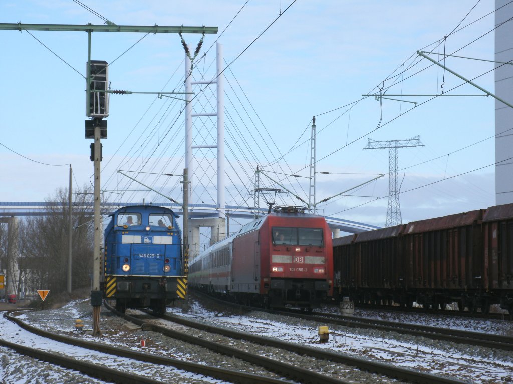 Um links zum Stralsunder Hafen zukommen,mute die PRESS 346 025 erst die 101 050, mit dem IC 2213 Binz-Stuttgart,am 24.Januar 2013,in Stralsund Rgendamm vorbei lassen.