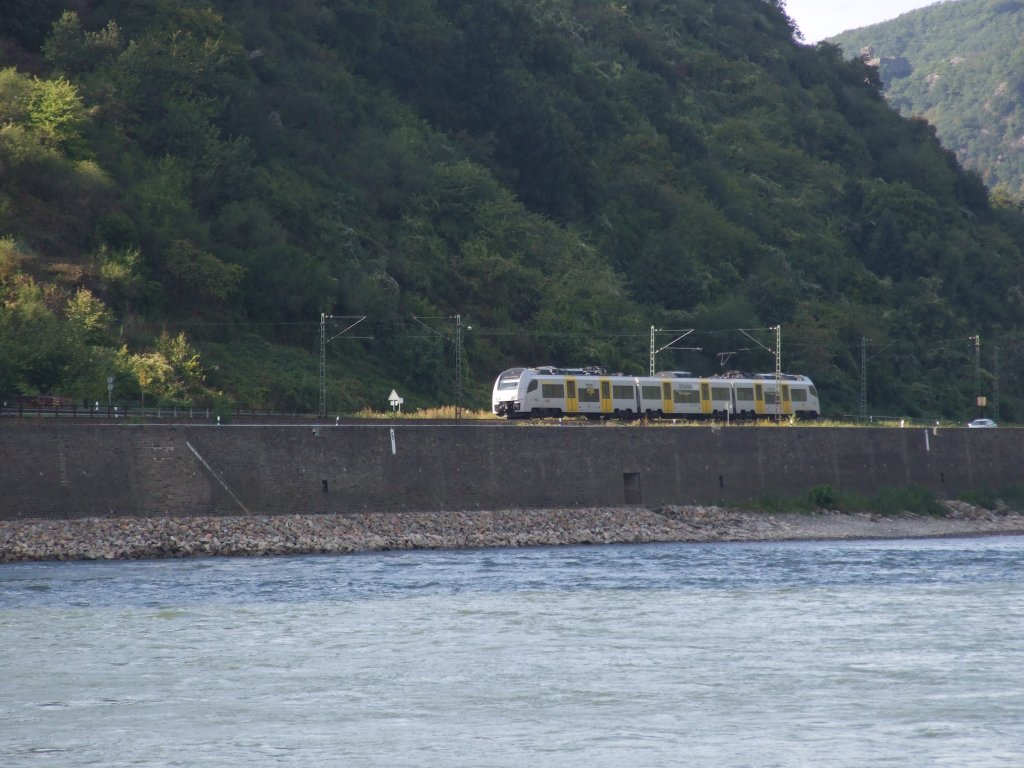 Unbekannte TransRegio Desiro ML II fhrt als MRB 25353 zwischen Wellmich und St. Goar auf der linken Rheinstrecke Richtung Sden.
St. Goar, der 1.9.12