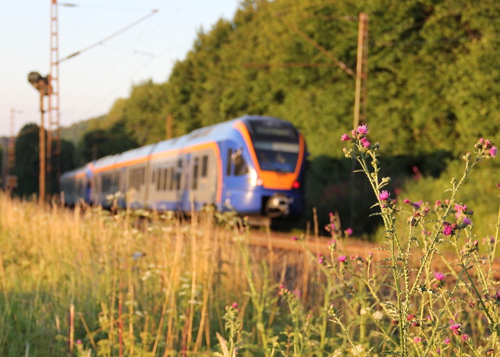 Und als letztes Bild vom 12.07.2012 noch eine Fotospielerei mit einem Cantus-Doppel in Richtung Gttingen. Aufgenommen zwischen Friedland(HAN) und Eichenberg.