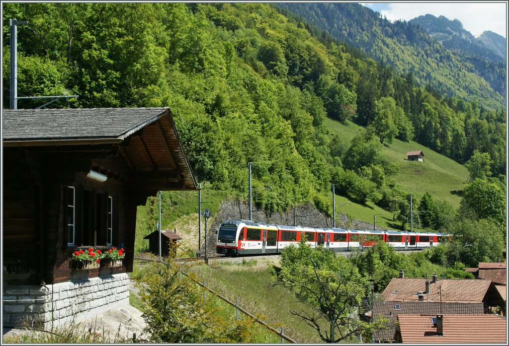 ...und gar ein  Adler !
Ebligen, den 5. Juni 2013