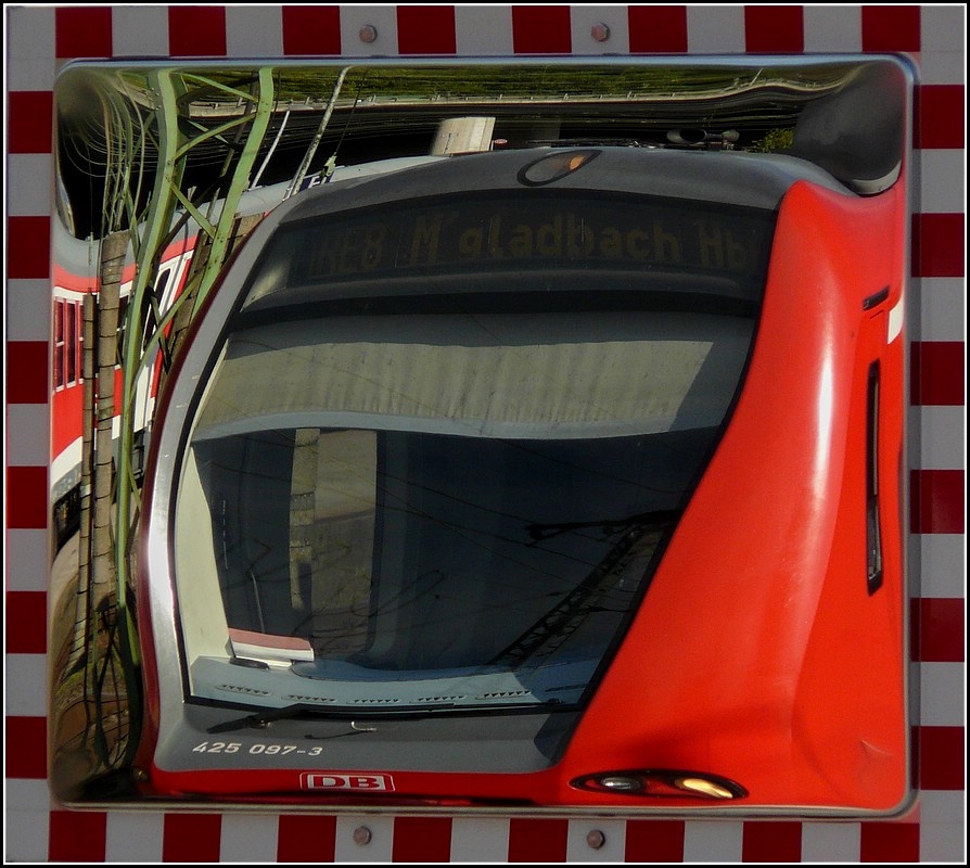 ...und sein Spiegelbild. 10.09.2010 (Jeanny)