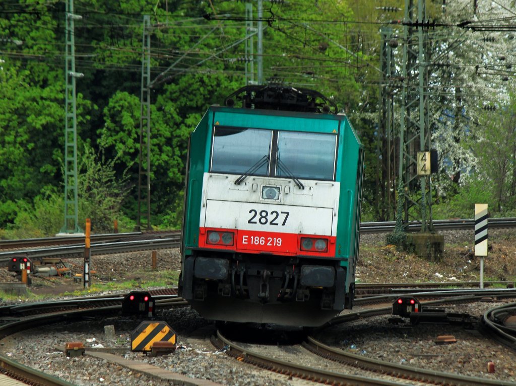 Ungewhnlicher Abstellplatz am 27.04.2013 in Aachen West. Cobra 186 219 (2827) steht unter der Brcke Turmstrasse im Gleisvorfeld, weil der Bahnhof zur Zeit wegen eines Chemieunfalls komplett gesperrt ist. Aus einem Kesselwagen ist Natronlauge ausgelaufen, die Feuerwehr dichtet den Kesselwagen ab und versucht den Umweltschaden so gering wie mglich zu halten.