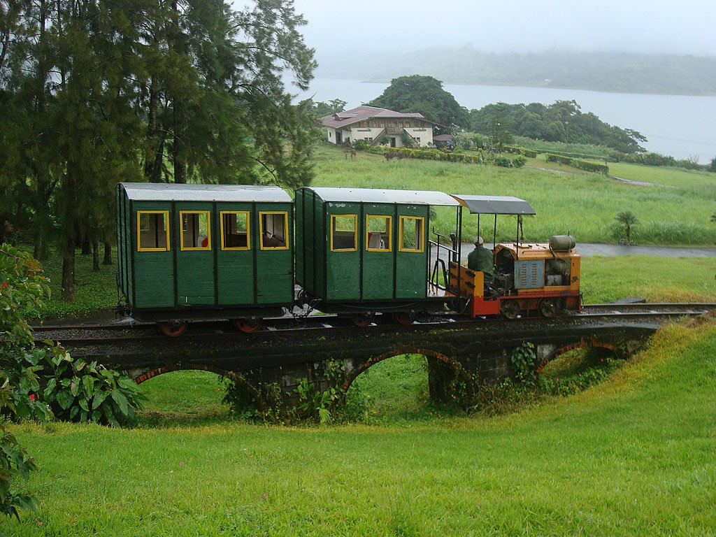 Unser Lokfhrer liess uns vorzeitig aussteigen, damit wir gleich noch die Kapelle besichtigen knnen. Er fhrt nun das Bhnli in den Bahnhof Pequea Helvecia zurck. Dahinter Bauernhaus und Arenalsee - und immer noch nieselt es, 08. Jan. 2010, 11:05