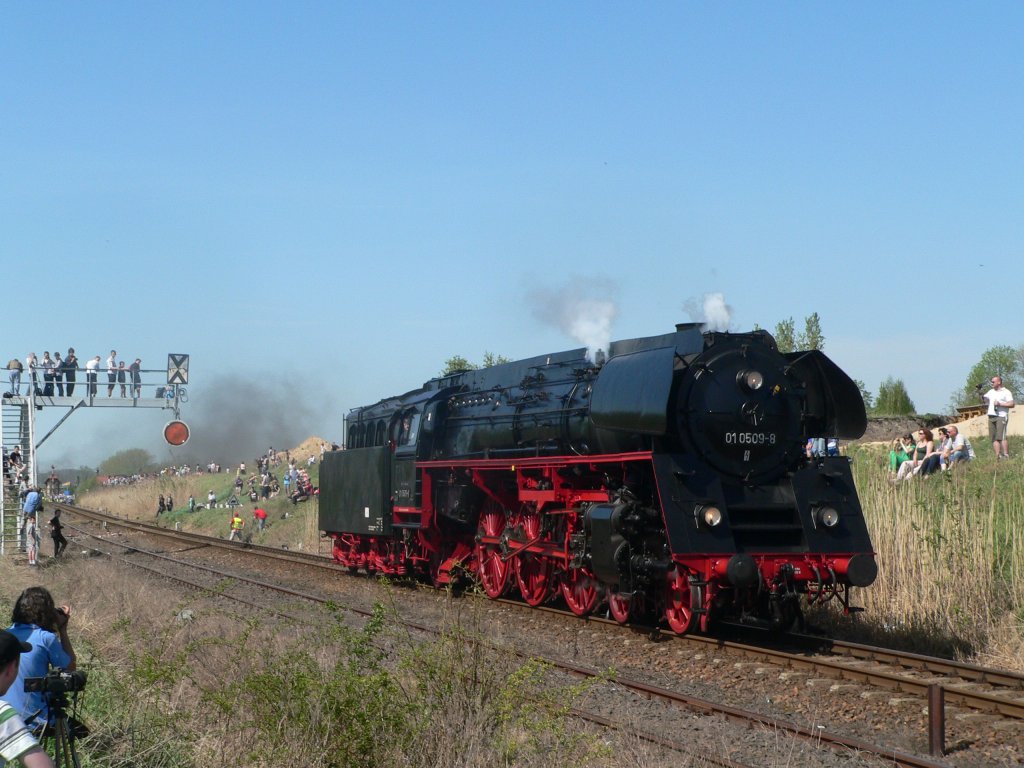 Unter den Augen vieler Fans fhrt die deutsche 01 0509-8 an der Paradestrecke entlang. Wolsztyn, 28.4.2012