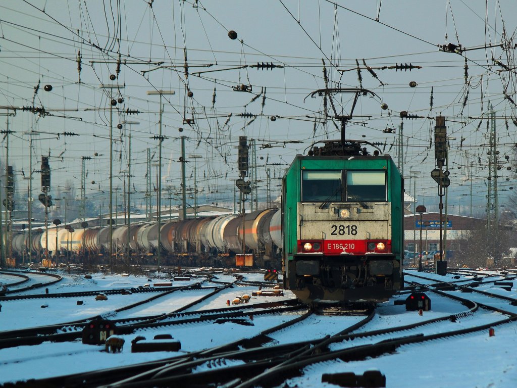 Unter einem Gewirr von Drhten und Leitungen verlt Cobra 186 210 (2818) am 31.01.2012 mit einem langen Kesselzug am Haken Aachen West Richtung Belgien.