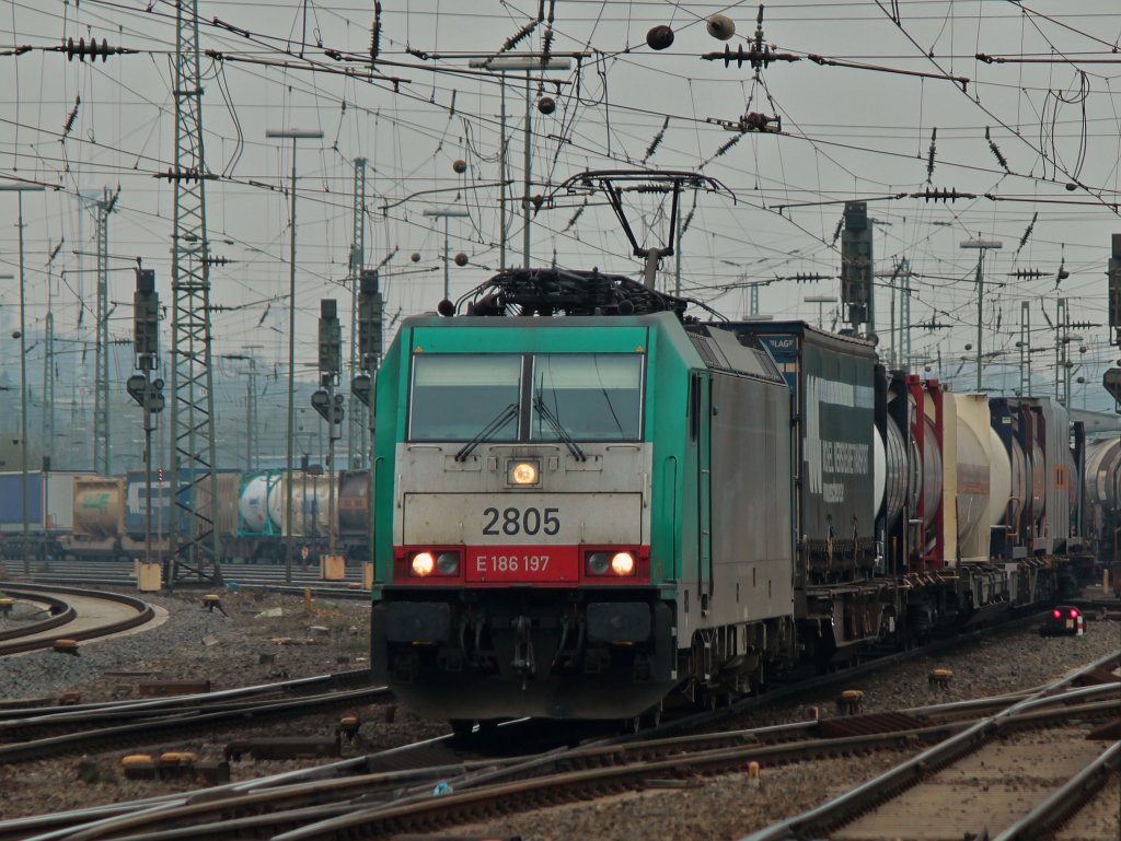 Unter einem Gewirr von Drhten und Leitungen zieht Cobra 186 197 (2805) am nebeligen 05.04.2012 einen Containerzug aus Aachen West nach Belgien.