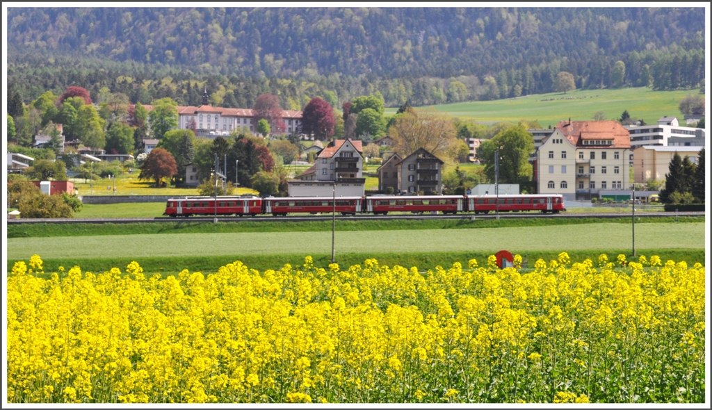 Unterhalb der psychiatrischen Klinik Waldhaus in Chur Masans fhrt die S1 1514 nach Schiers an einem Rapsfeld vorbei. (20.04.2011)