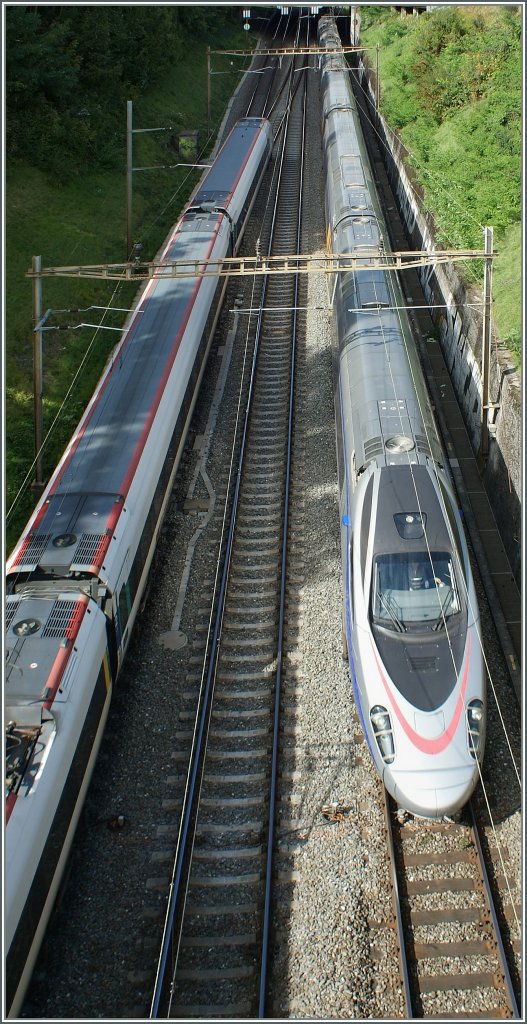 Unvorteilhaft fotografiert, zeigt der  Pinocchio  die ganze Dimension seiner langen Nase. SBB ETR 610 als EC 39 bei der Einfahrt in Lausanne im Herbst 2010. 
