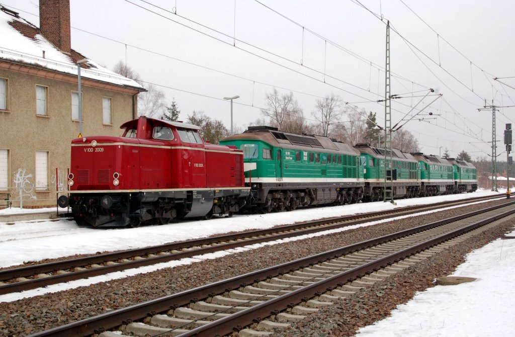 V 100 2009 der Hafenbahn Neustrelitz steht am 18.02.10 mit dem Wismut-Lokzug im Bahnhof Muldenstein. Dort wurde eine berholung durch einen IC abgewartet.