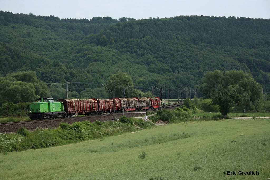 V100 01 der Ilmebahn am 1.7.10 mit einem modelbahngerechten Gterzug in Freden.