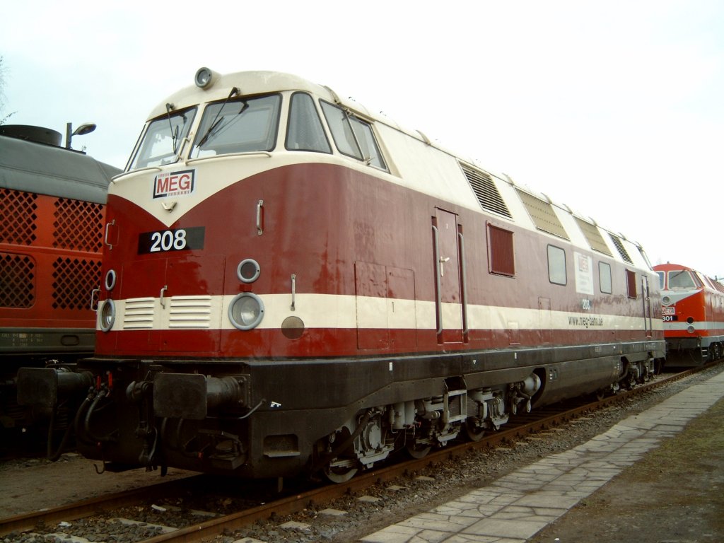 V180 - MEG 208 - Bw-Fest Leipzig Plagwitz (2004)