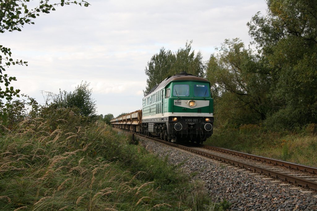 V300 001 kmpfte sich mit tollem Sound die Steigung nach Beerwalde Richtung Schmirchau hinauf (22.09.11).