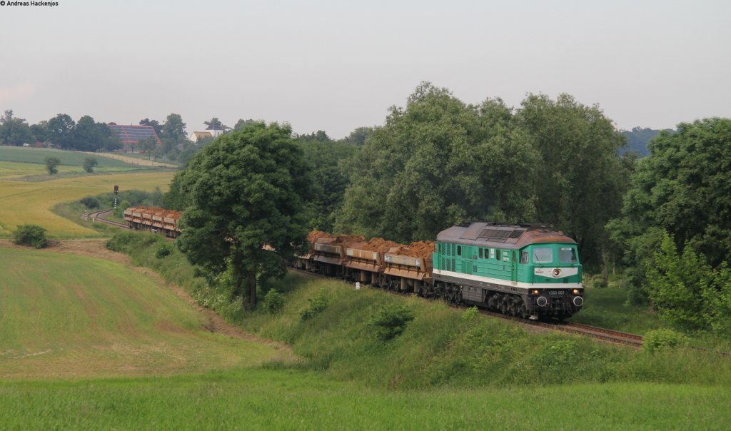 V300 001 mit dem 66242 (Kayna-Schmirchau) bei Frankenau 18.6.13