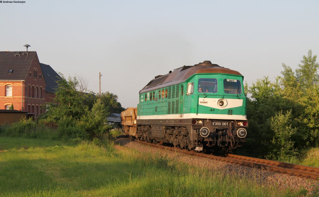  V300 001 mit dem 66231 (Schmirchau-Kayna) bei Hartha 18.6.13