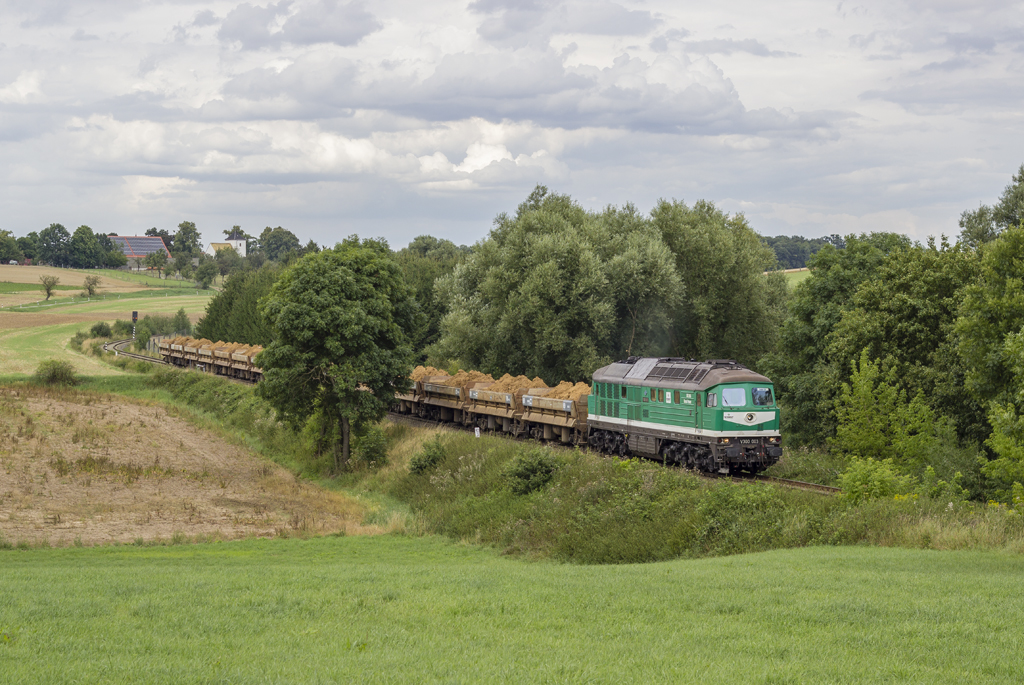 V300 003 hat mit ihrem vollen Sandzug nach Kayna gerade die Langsamfahrstelle in der Reichstdter Senke passiert und beschleunigt wieder in Richtung Ronneburg (12.08.2013)