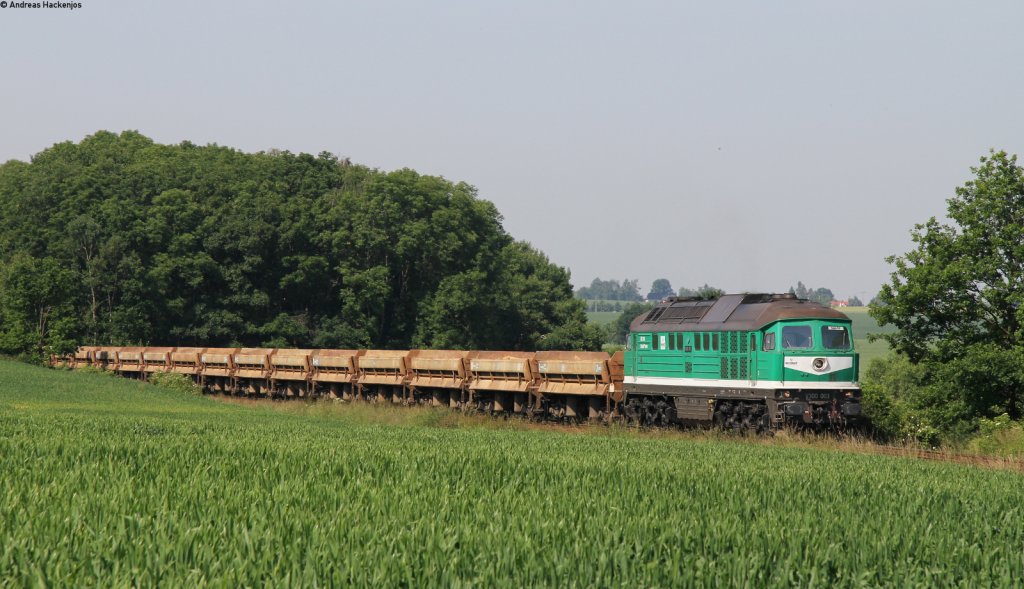 V300 003 mit dem 66235 (Schmirchau-Kayna) bei Hartha 18.6.13