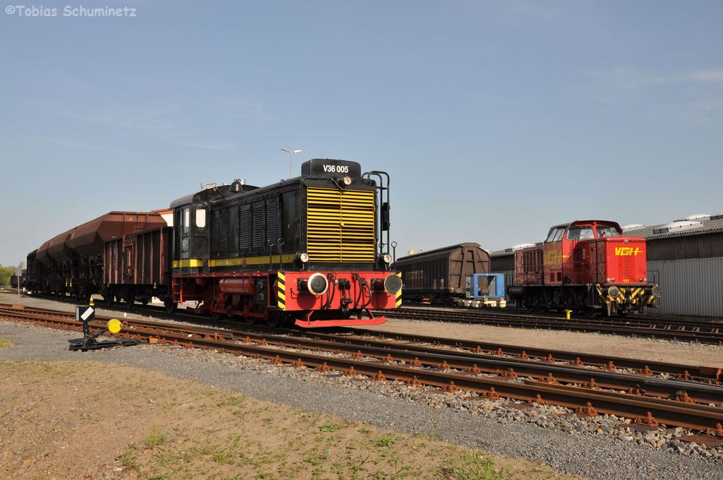 V36 005 mit Fotozug neben der V21 der VGH in Hoya am 28.04.2012