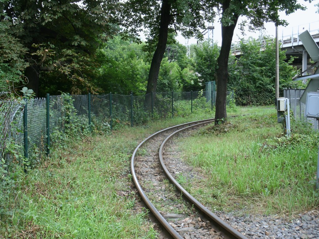 Verdammt knapp fhrt das Streckengleis zum Bahnhof Berlin Wuhlheide Parkeisenbahn an einem Baum vorbei.Aufnahme vom 14.Juli 2012.