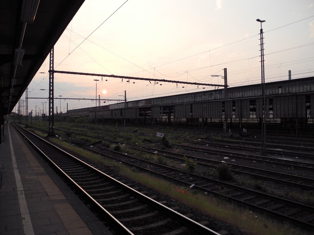 Verlassen I: Stillgelegte Breiche von Wanne-Eickel Hbf. in der Morgendmmerung um 06.30 Uhr (11.05.2011)