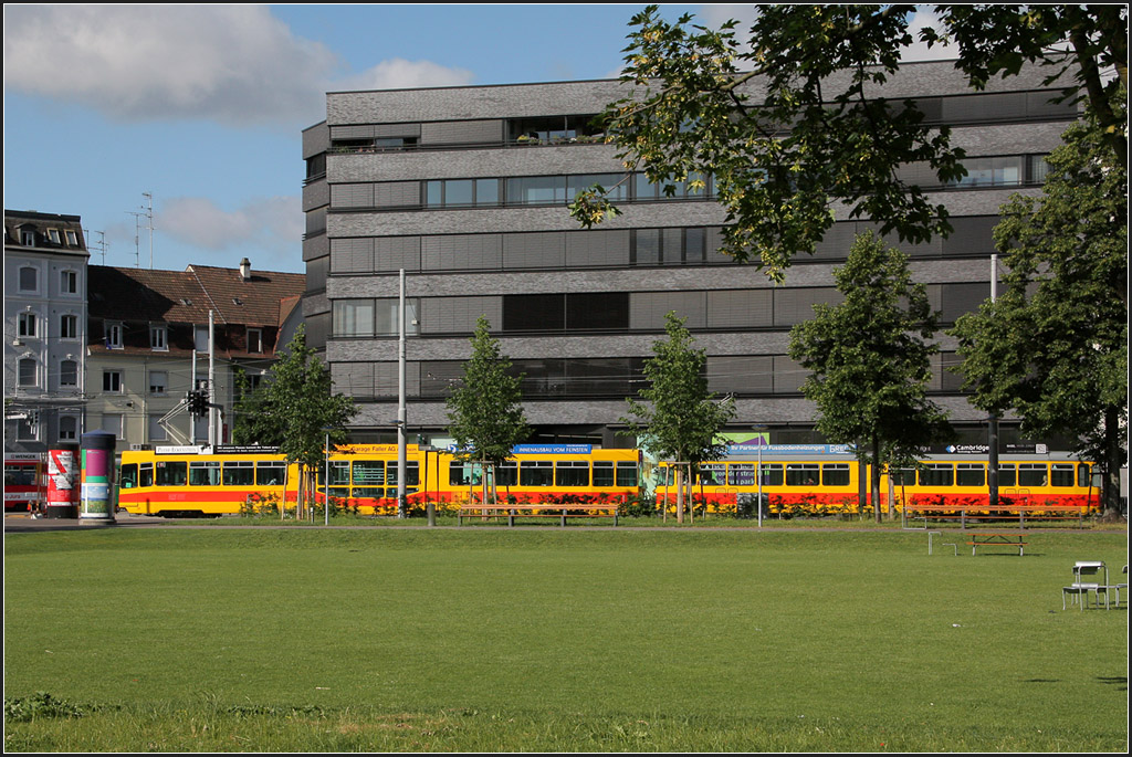 Versteckt und doch das Bild dominierend - 

Ein BLT-Zug auf der Linie 11 am Voltaplatz in Basel. 

22.06.2013 (M)