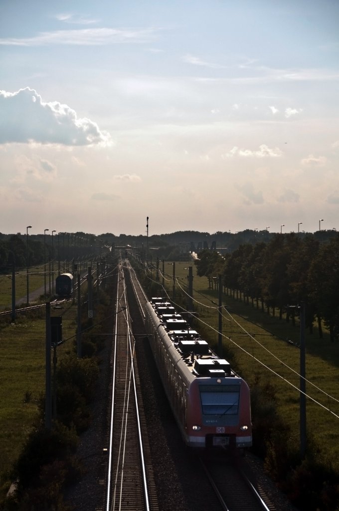 Versuch einer Gegelichtaufnahme, S1 zum Flughafen am 05.09.2010 kurz vorm Besucherpark.