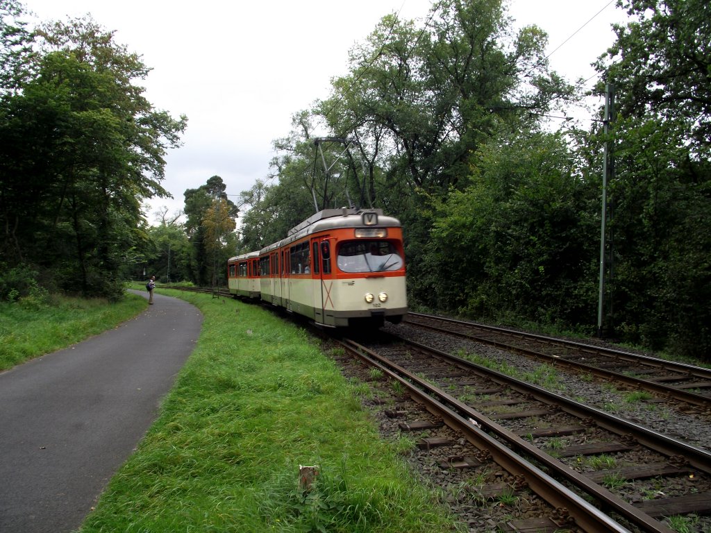 VGF M-Wagen unterwegs am 11.09.11 in Frankfurter Wald 