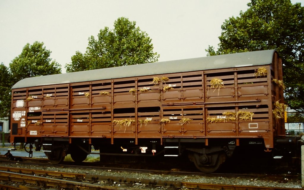 Viehtransportwaggon Hes 358 auf der Fahrzeugschau  150 Jahre deutsche Eisenbahn  vom 3. - 13. Oktober 1985 in Bochum-Dahlhausen.