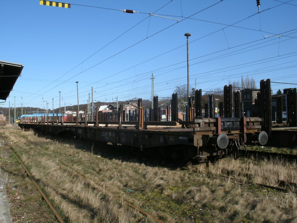 Vier Samms-Wagen am 02.Mrz 2012 in Bergen/Rgen.