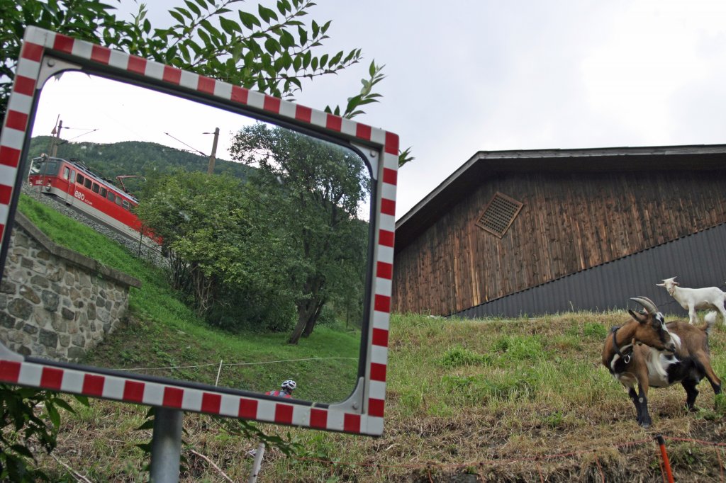Vom Spiegelbild der 1142.671 bei Schlglmhl, sind die Ziegen nicht wirklich angetan.