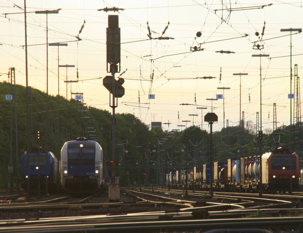 Von Links  nach rechts: 185 527-9 von Crossrail mit einem Containerzug.
Die 183 705 von der Wiener Lokalbahnen steht mit einem langen  Dacia-Autoleerzug aus Tongeren(B) nach Ciumesti(RO).
482 005-6 von SBB-Cargo steht mit einem Containerzug und auf die Abfahrt nach Aachen-Hbf,Kln.
Aufgenommen in Aachen-West in der Abendstimmung am 15.5.2013.