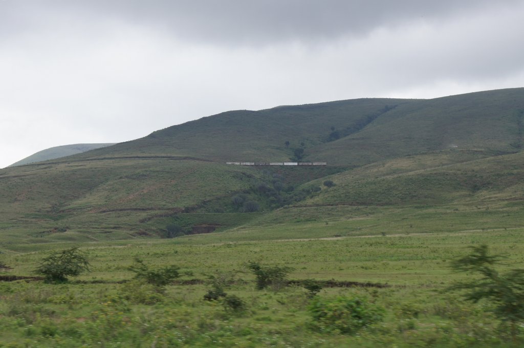 Von Nairobi aus fhrt die Eisenbahn nach Kampala/Kisumu hinab in den Afrikanischen Grabenbruch (daher auch der Name Rift Valley Railways). Am 3.6.2012 haben wir bei Naivasha einige Gterwagen am Hang entdeckt.