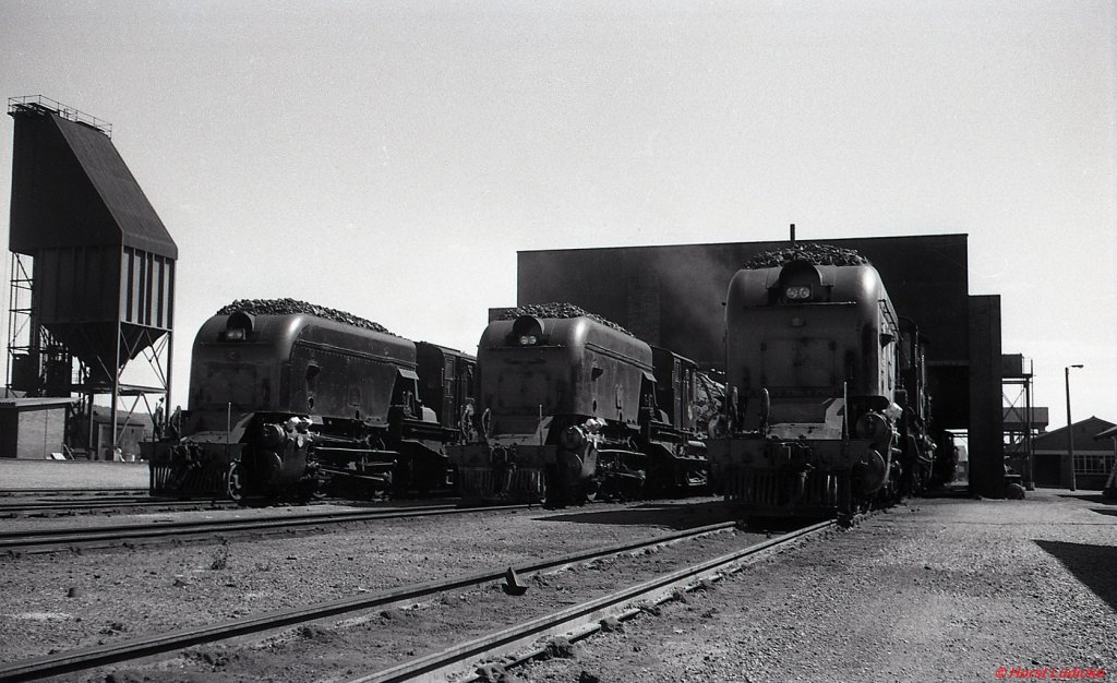 Vor dem Lokschuppen des Depots Mosselbaai warten im November 1976 drei GMAM auf ihre nächsten Einsätze