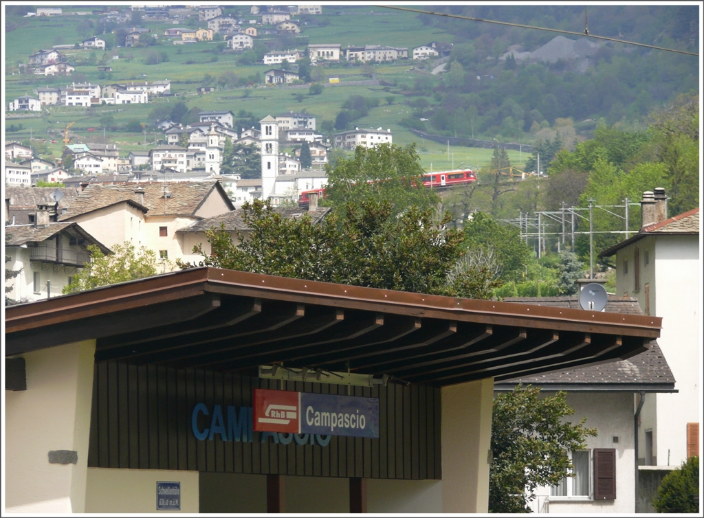 Vor der Haltestelle Campascio ersphe ich einen ausser Plan talwrts fahrenden Allegra, der soeben das Kreisviadukt von Brusio berquert und mich sogar mitnimmt nach Tirano. (08.05.2010)