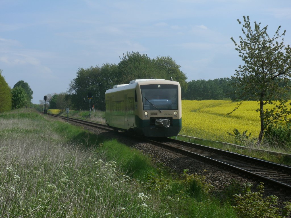 Vorbei am bl�henden Rapsfeld fuhr der PRESS VT650 032,am 19.Mai 2012 zwischen Putbus und Bergen/R�gen.