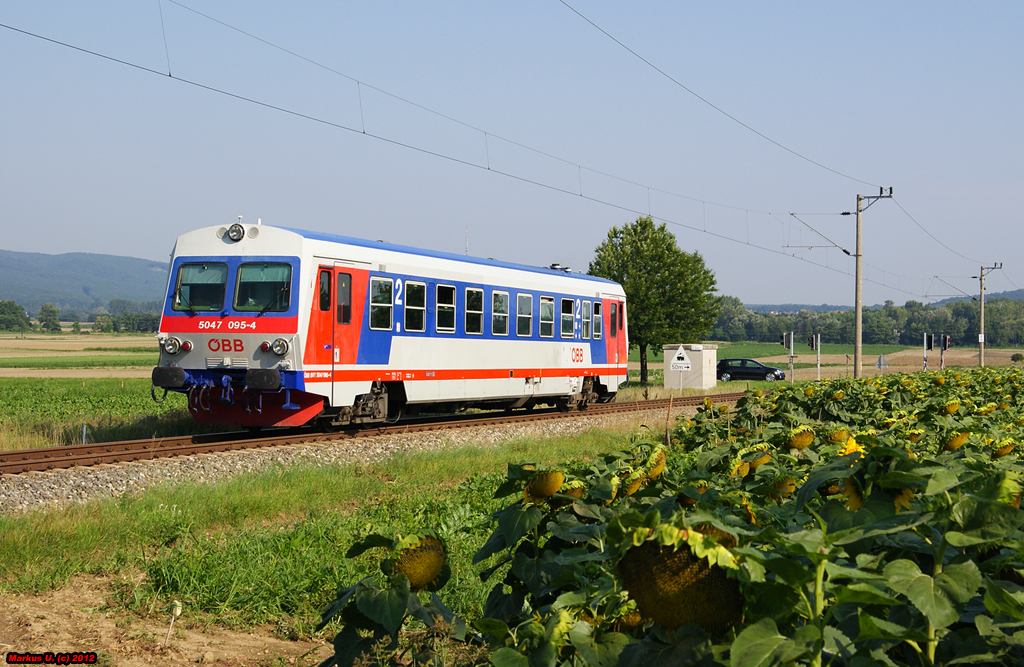 Vorbei an einem Sonnenblumenfeld fhrt 5047 095 am 28.07.2012 als R7711 von Wiener Neustadt Hbf nach Deutschkreutz.