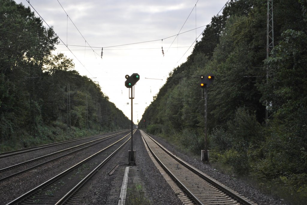 Vorsignal (Wiederholer), in Hmelerwald, am 15.09.2011