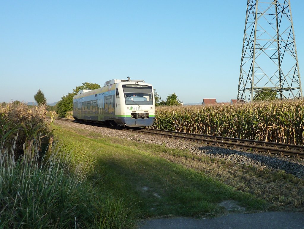 VT 006 der Breisgau-S-Bahn am 28.09.11 im Abendlicht bei Riegel.