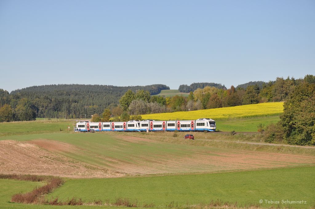 VT 113 + VT 110 der BOB am 15.10.2011 als Sondefahrt des Vereins  Amberger Kaolinbahn  auf der Nebenbahn von Amberg nach Schnaittenbach bei Burgstall.