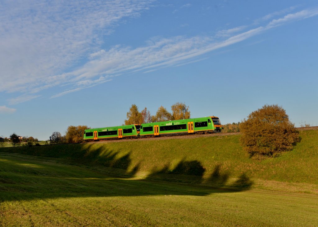 VT 15 + VT 21 der Waldbahn von Plattling nach Bayerisch Eisenstein am 21.10.2012 unterwegs bei Triefenried.
