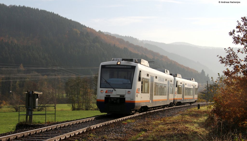 VT 509 und 512 als OSB87422 (Freudenstadt Hbf-Strasbourg) bei Hausach 6.11.11