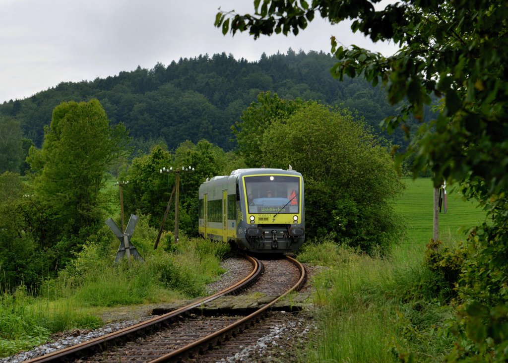 VT 650 726 bei einer Sonderfahrt auf der Ilztalbahn am 01.06.2013 bei Waldkirchen.