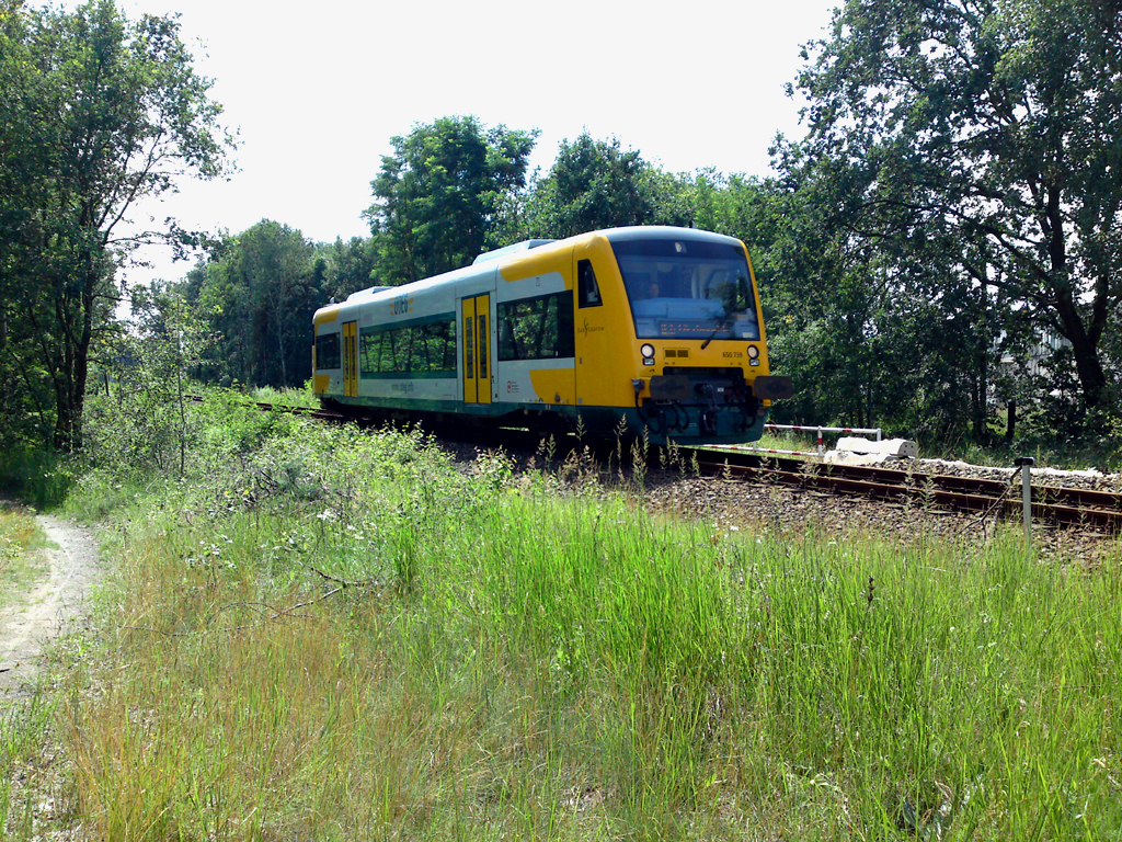 VT 650.739 der ODEG Zwischen Frstenwalde und Frstenwalde-Sd. Gesehen am 30. Juni 2012.