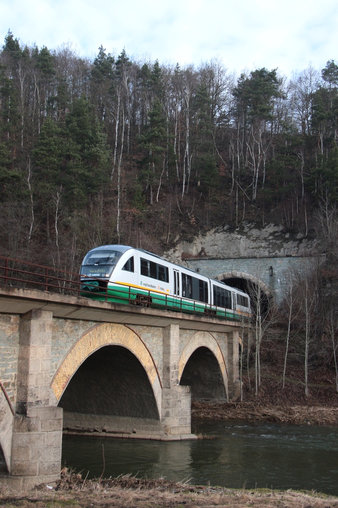 VT07 hat als 81019 soeben den Rothenthaler Tunnel verlassen und fhrt in den Bf Greiz-Dlau ein. (14.02.2011)