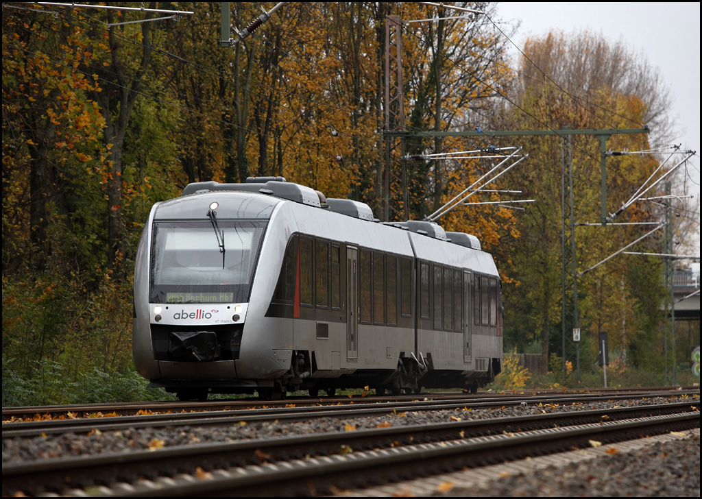 VT11003 ist als RB46  Glckauf-BAHN  nach Bochum Hbf unterwegs. (Bochum-Hamme am 05.11.2010)