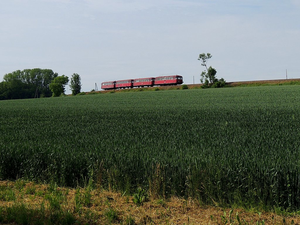 VT98 Triebwagenzug der PassauerEisenbahnFreunde (kurz PEF geannt), ist als SR17591 auf der Hausruckbahn, Nhe Oberbrunn, unterwegs; 120607