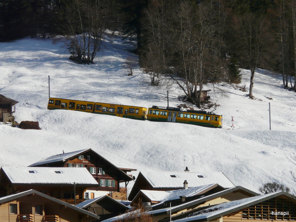WAB - Zug unerwegs oberhalb von Lauterbrunnen am 26.01.2013