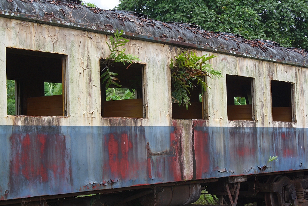 Während der บชส.133 (บชส. =BTC./Bogie Third Class Carriage) im Depot Thung Song auf sein weiteres Schicksal wartet, ergreift die Natur schon von ihm Besitz. Bild vom 24.August 2011.

