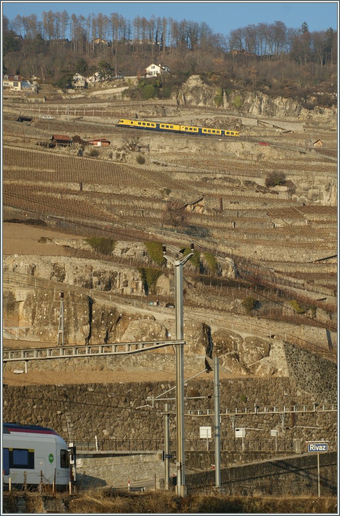 Whrend weit oben in den Reben der  Train des Vignes  Richtung Chexbres strebt, entdeckt man am unteren Bildrand andeutungsweise den Bahnhof Rivaz. 
1. Mrz 2012